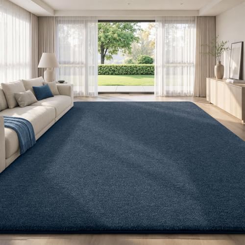 10x14 Area Rugs for Living Room Bedroom