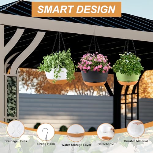 10 Inch Hanging Baskets (3 Count)
