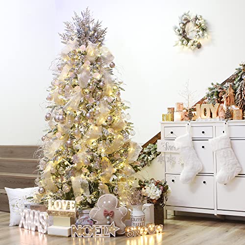 20 Pack Clear Christmas Ball Ornaments with Fillers (20 Count)