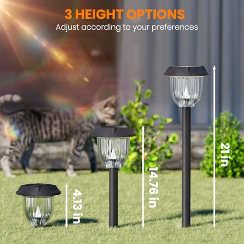 Solar Path Lights (12 Count)