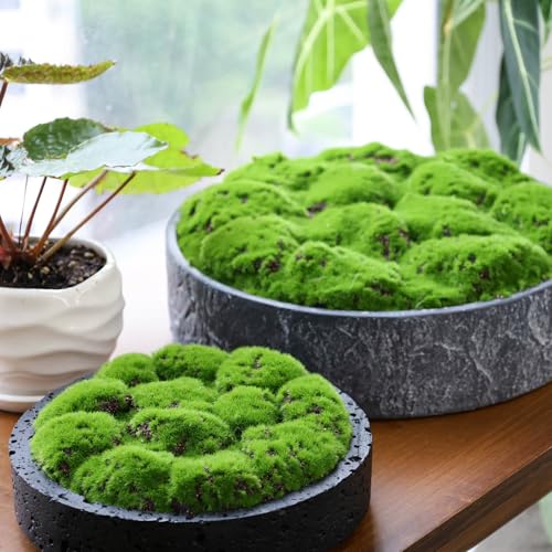 New Moss Bowl