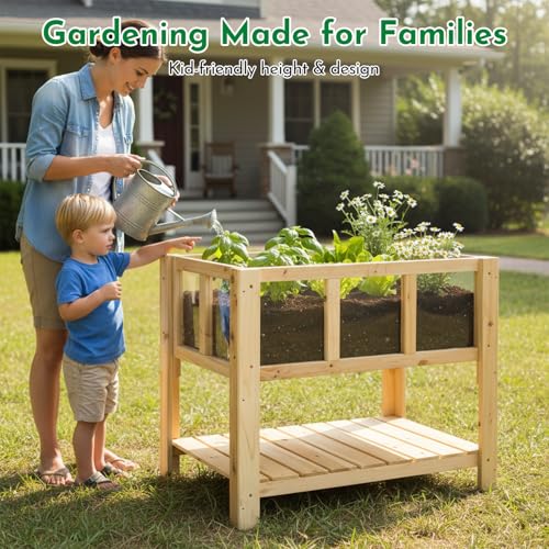 Raised Garden Bed with Transparent Acrylic Side Panels