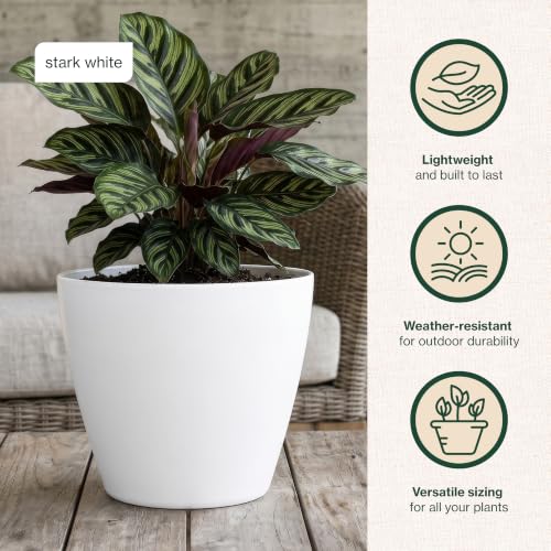 8" Vogue Planter in Stark White