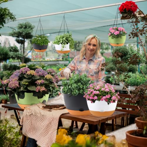 10 Inch Hanging Baskets (3 Count)