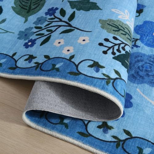 Runner Rug 2x5 Washable (10 Sq Ft)