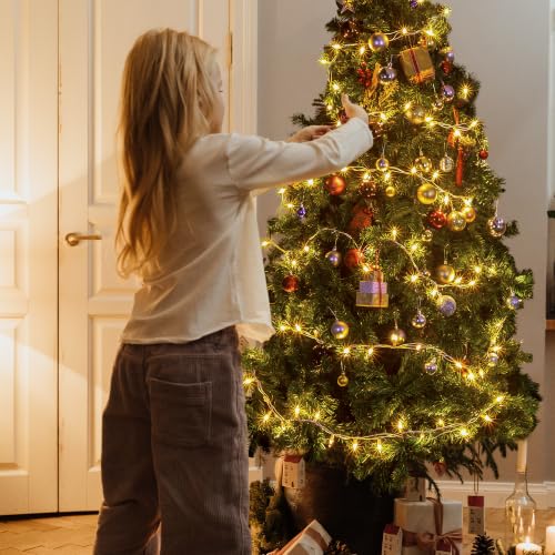 Warm White Christmas Mini Lights (50 Count)