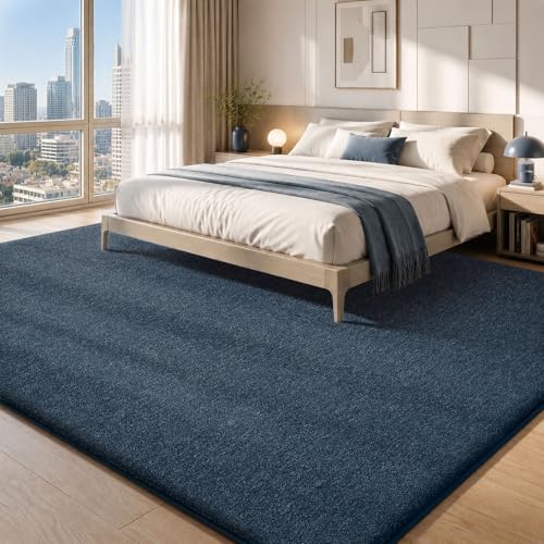 10x14 Area Rugs for Living Room Bedroom