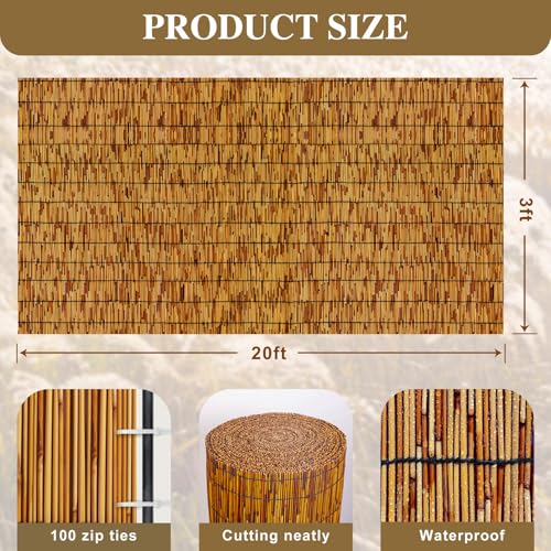 Natural Reed Fencing