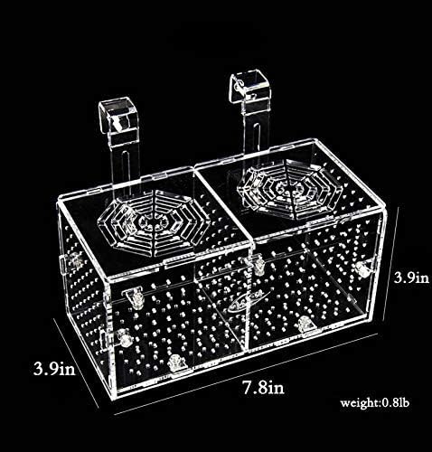 Hamiledyi Acrylic Breeding Isolation Box - Transparent Aquarium Hatchery for Guppy/Shrimp/Small Fish, Safe Nursery Tank with Air Tube & Suction Cups(7.8" × 3.9" × 3.9")