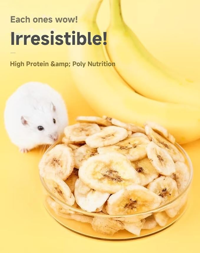 Hamster Banana Chips - Tasty, Natural & Nutritious for Small Pets