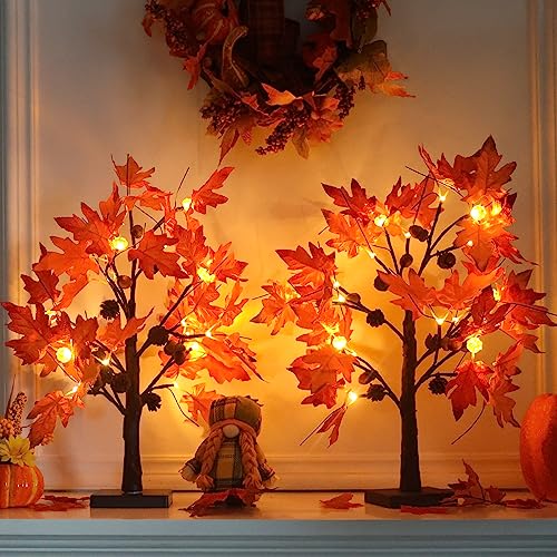 Fall Decorations for Home