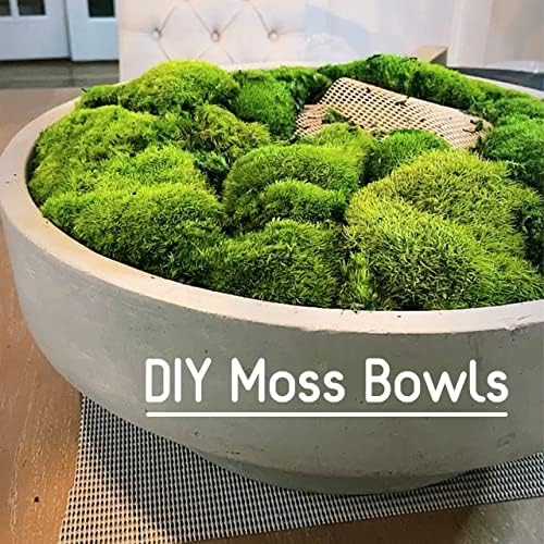 Preserved Pole Moss Pillow Bun Cushion Natural Green Decorative Real Natural Green DIY Kit Terrariums Gardenning Art Wall Decor Florist Decor Easter Table Decor Wedding(13.5 sq.ft., Green-B)