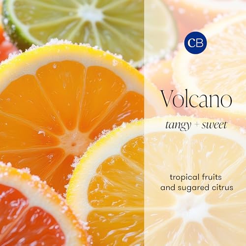 Scented Candles (19 Ounce)