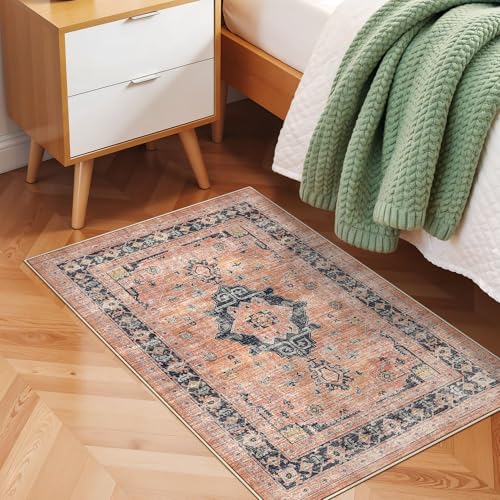 Washable 2x3 Small Area Rug (6 Sq Ft)