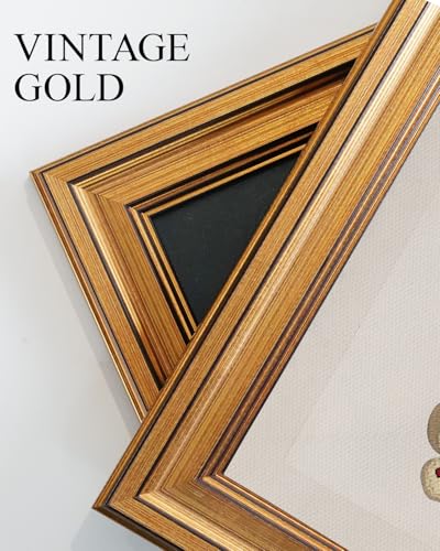 Vintage Gold Framed Butterfly Wall Art (4 Count)