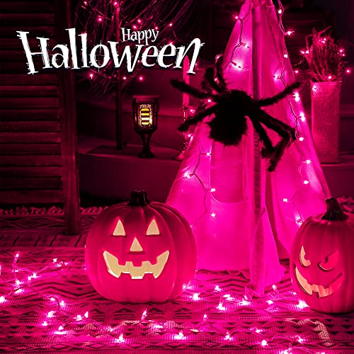 2PACK 50 Count 13ft Pink Purple Halloween Lights with White Wire (13 Foot)