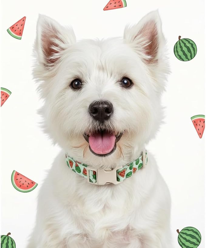 Dog Collar for Small Dogs, Summer Dog Collar with Watermelon Print and Charm, Adjustable Pet Collar for Girl Boy Dogs