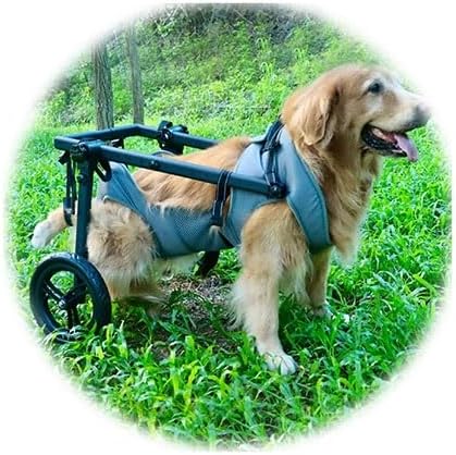 Pet Trolley Adjustable Hind Leg Disabled Dog Mobility Aid Light Rehabilitation Legs Wheelchair Walk Tools(Large)