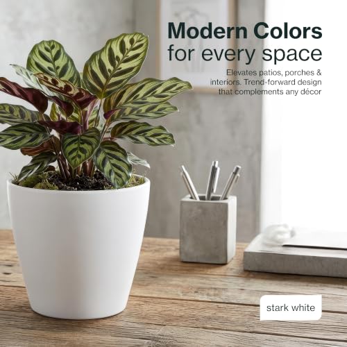 8" Vogue Planter in Stark White