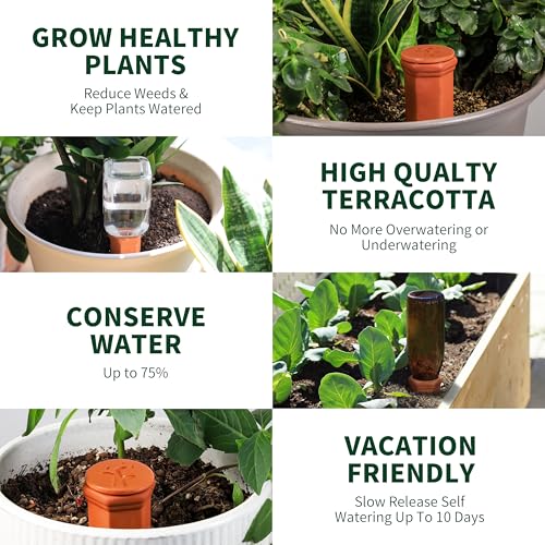 Large Terracotta Watering Spikes with Lids (8 Count)