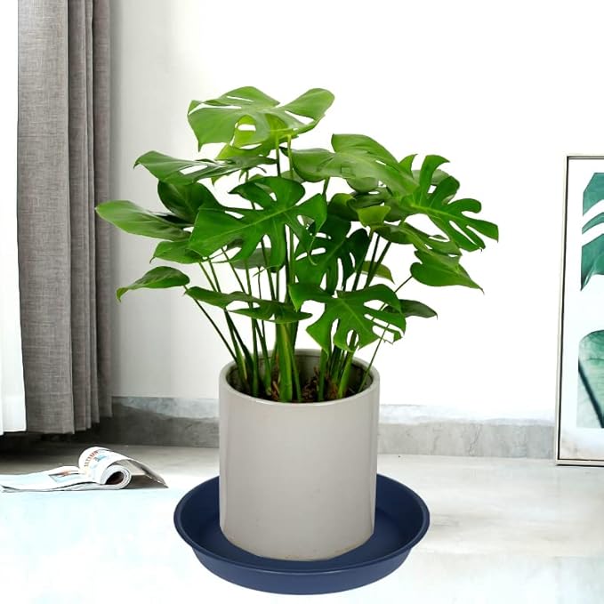 6 Pack Plastic Plant Saucer Planter Water Drip Tray, 4 5 6 7 8 9 10 11 12 inch, Heavy Sturdy Tray for Indoors Outdoor Plants, Flower Pot Saucers for Pots Base (4", Blue)