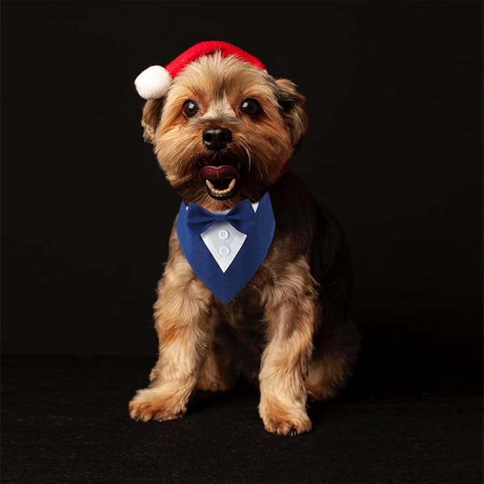 Dog Wedding Bandana, Formal Dog Tuxedo Adjustable Pet Collar with Bow, Small, Medium and Large Wedding Clothing, Birthday Gifts for Dogs (Large, Blue)