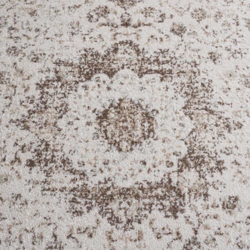Evoke Area Rug 5'3"x7' (39.4 Sq Ft)