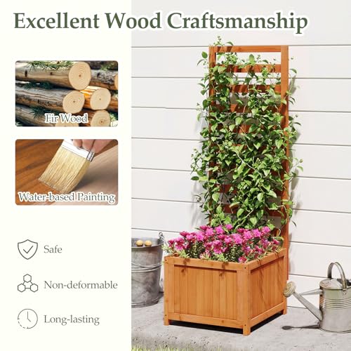 48" Raised Garden Bed with Trellis & Garden Box
