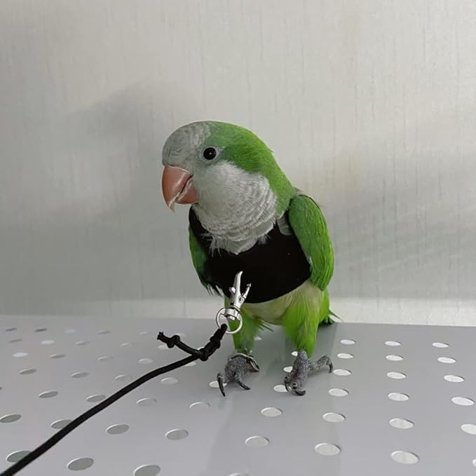 Bird Flight Harness Vest, Parrot Flight Suit with Leash for Parakeets Cockatiels Conures Budgies, Bird Flying Clothes with Rope and Handle for Outdoor Activities Training, Anti Bite (Small)