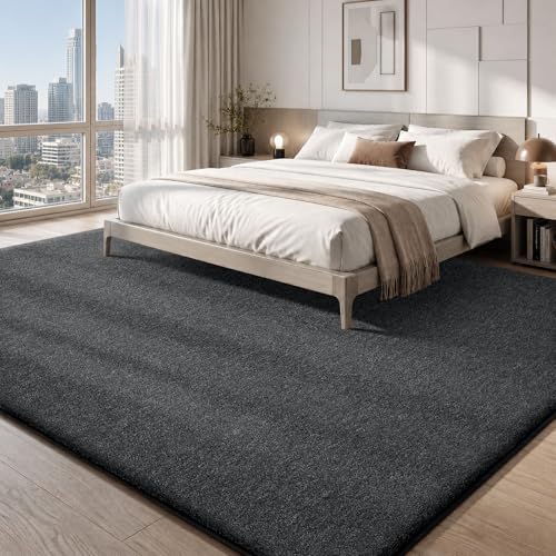 6x9 Area Rugs for Living Room Bedroom