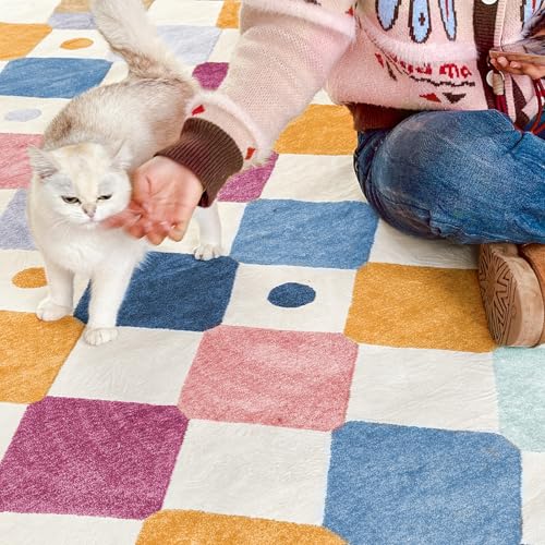 6x9 Classroom Rug Washable Kids Rug Colorful Playroom Mat Berries (54 Sq Ft)