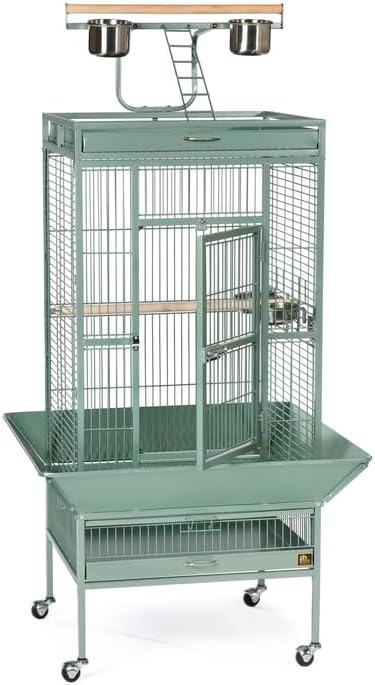 Suburban Sophistication Playtop Bird Home with Spacious Design, Durable Materials, Removable Perches Small/Sage Green