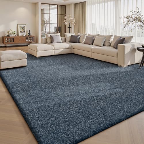 10x14 Area Rugs for Living Room Bedroom