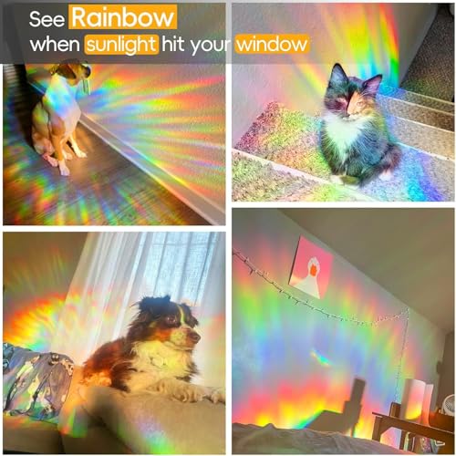 Rainbow Window Privacy Film Decorative (271.3 sq inch)