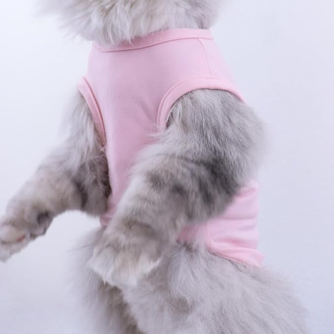 Custom Dog Birthday Shirt,Personalized Pet Apparel Print with Name Age Number,Pet Birthday Outfit,Lightweight Breathable Cotton Vest for Small Medium Large Dogs Cat (Grey, X-Small)