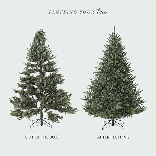 12 ft Pre Lit Classic Blue Spruce