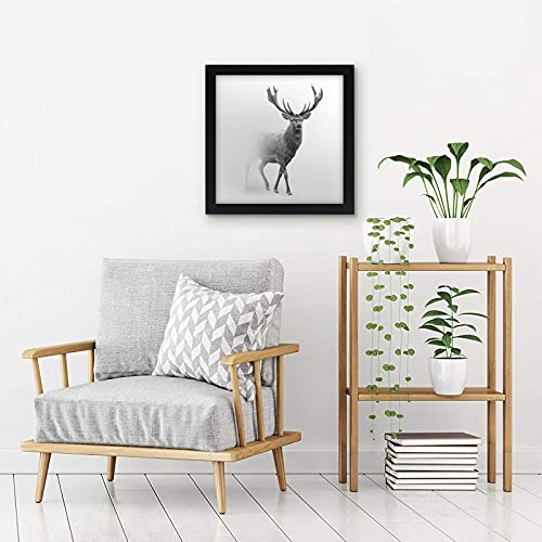 16x16 Picture Frame