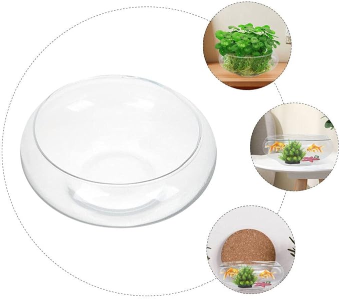 Glass Terrarium Bowl: 9.8" Diameter Round Betta Fish Tank & Hydroponic Planter - 7.87" Wide Mouth Glass Vase for Air Plants, Succulent Centerpiece, Wedding Table Decor