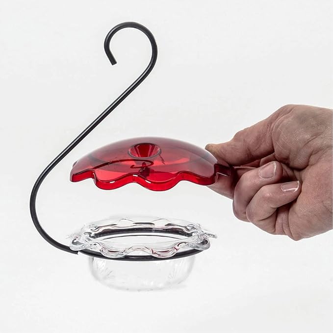 Birds Choice HSC Hummingbird Feeder, Single Cup Bird Feeder, 3 Ounces, Red/Clear