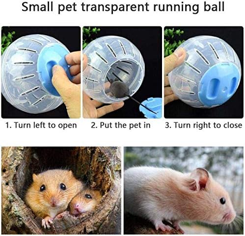 Hamster Exercise Ball Silent Hamster Wheel Small Animals Transparent Ball for Dwar Rat Relieves Boredom and Increases Activity (6 inch, Blue)