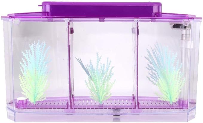 Breeding Fish , Adjustable Light Mini Fish , Three Areas for Small Fishes Betta()