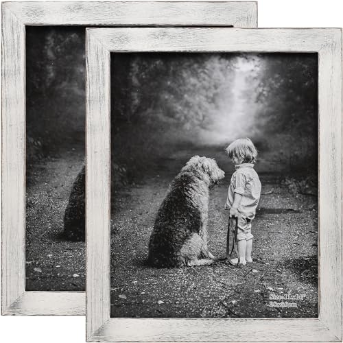 Distressed White 11x14 Picture Frame (2 Count)
