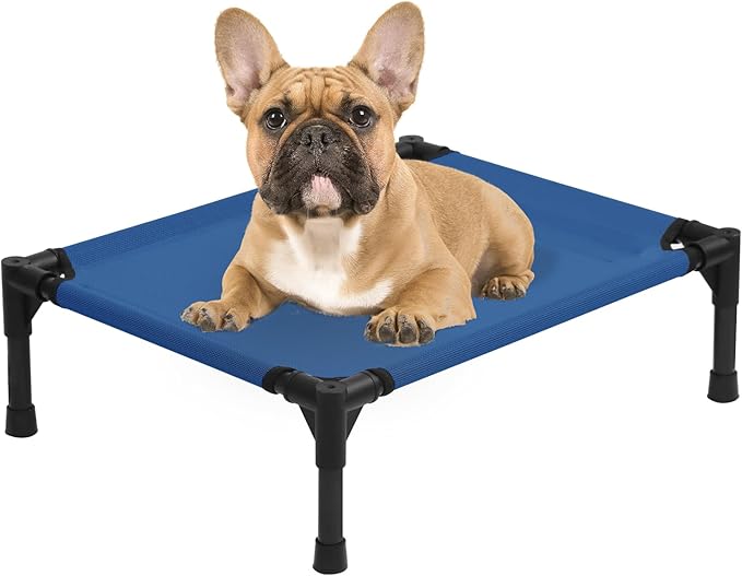 Small Elevated Dog Bed 22 Inch - Puppy Cooling Cot with Removable Washable Breathable Mesh, Raised Dog Cots Beds for Indoor and Outdoor, Blue