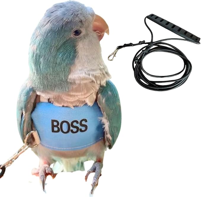 Bird Flight Harness Vest, Parrot Flight Suit with Leash, Bird Flying Clothes with Rope and Handle for Outdoor Activities (2M)
