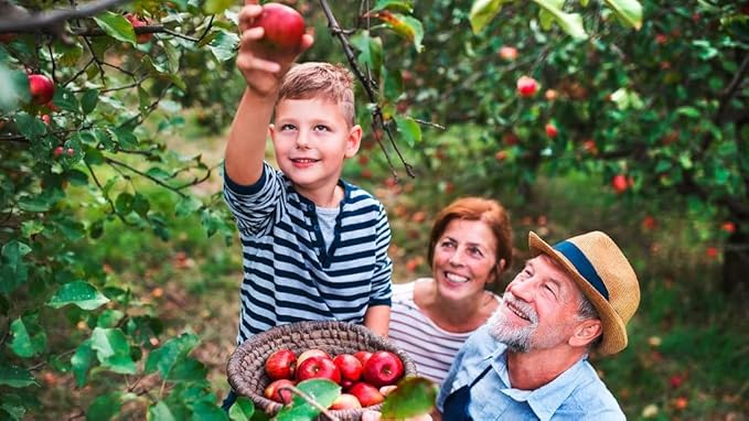 Gardenera Premium Apple Potting Soil Mix - Optimal Nutrient-Rich Blend for Thriving and Juicy Apples - 5 Quart