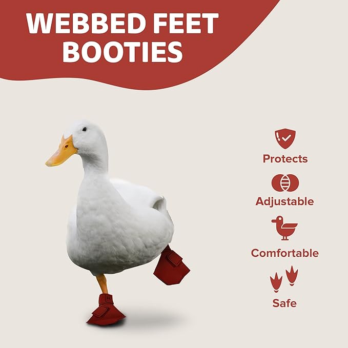 Duck Shoes for Injured Feet – Protective Neoprene Footwear for Ducks, Protective Shoes for Birds with Injured feet, Bumblefoot Relief - Medium, 3.5” Max. Inside Width - Red