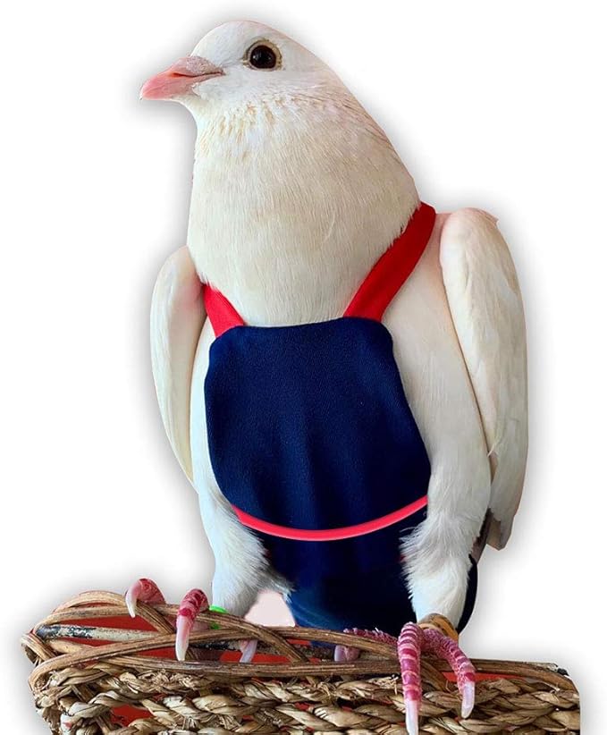 Bev's Bird Boutique Regular Flyper Adjustable Bird Diaper | Reusable, Washable Cloth | Comfort Fit for Parrot, Cockatiels, & Other Small Birds | Fashionable Avian Accessories, Navy & Red, Size 7.5