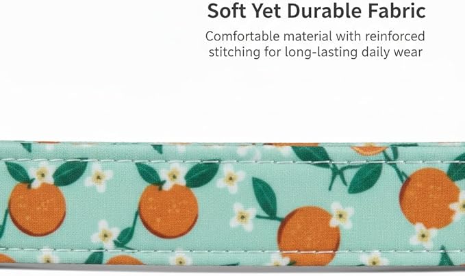 Dog Collar, Spring Summer Dog Collar with Orange Print and Charm, Cute Spring Summer Fruit Collar with Soft & Breathable Fabric, Adjustable Pet Collar for Small Dogs