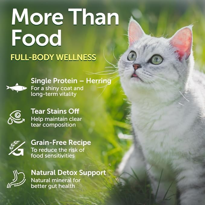 Nature's Protection Dry Cat Food - Grain Free, High Protein Cat Food Dry Kibble for Indoor Adult Cats with Light Fur - Sensitive Stomach, No Tear Stains & Hairball (Superior Care - Herring, 14.11 oz)