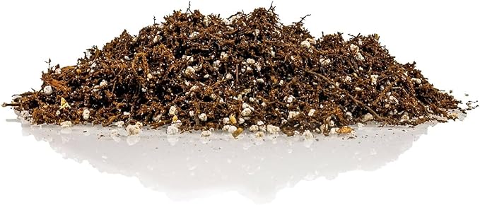 Gardenera Premium Organic Potting Soil, Succulent & Cactus Soil Mix, Fast Draining Pre-Mixed Blend - Horticultural Perlite (25%) + Peat Moss (75%) - Made in USA - 3 Quart